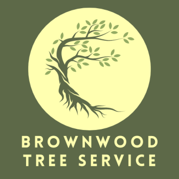 Brownwood Tree Service Logo